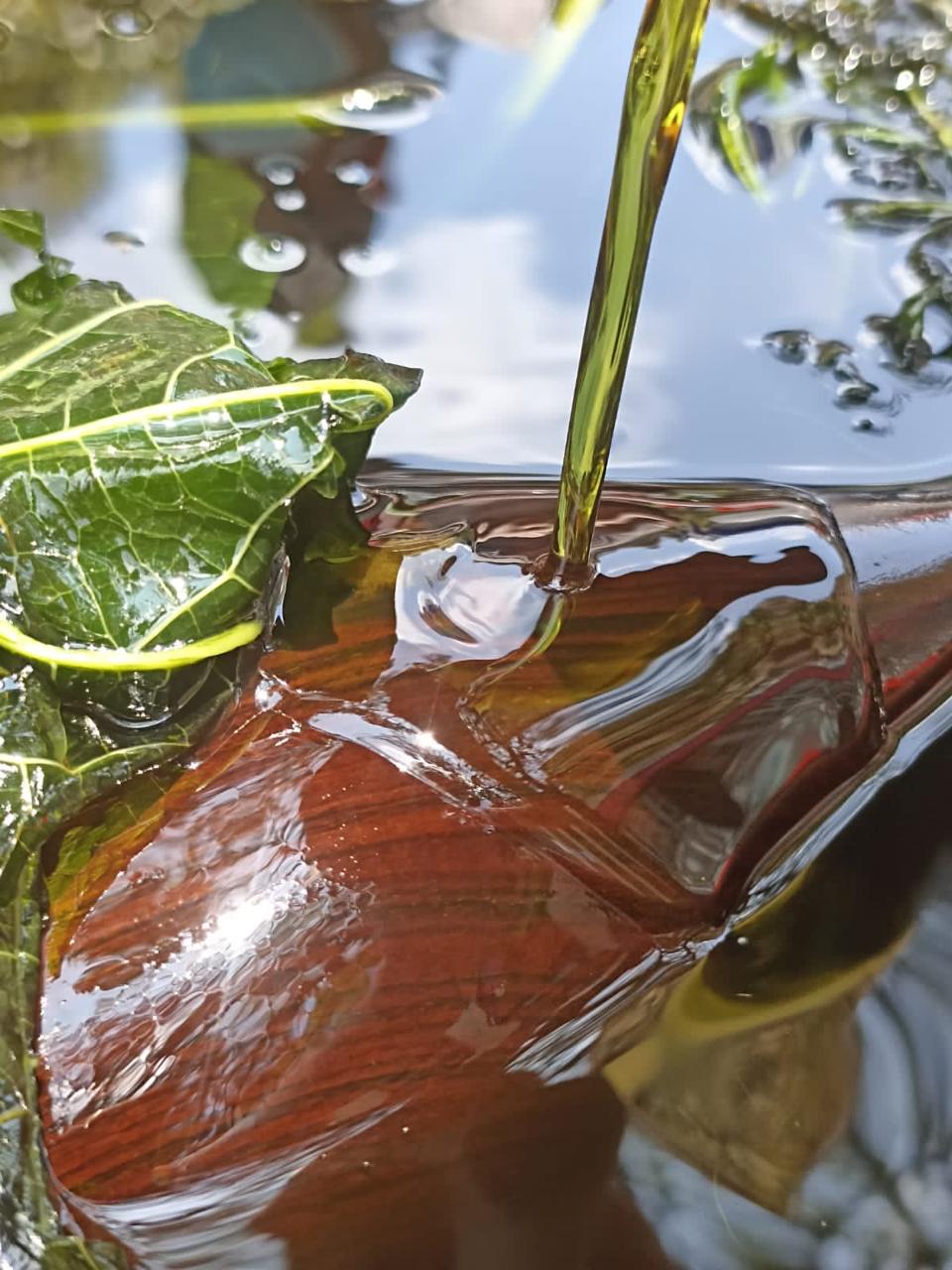 Óleo Corporal Natural - Image 6